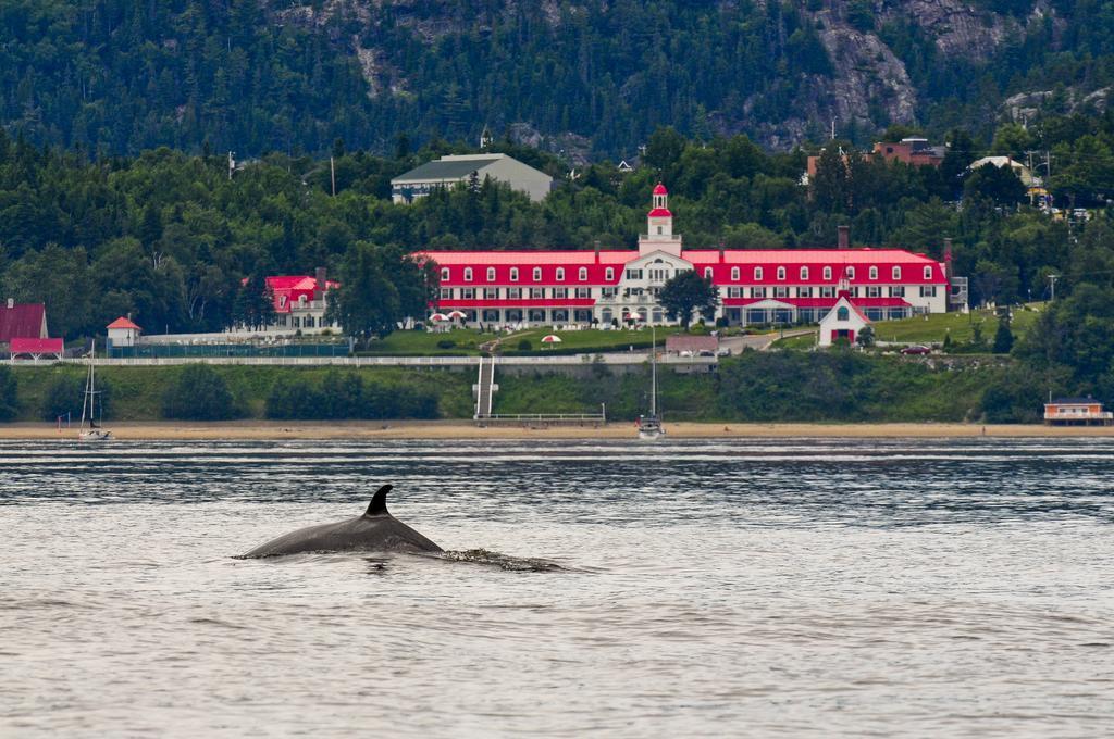 Gite Au Vieux Pommier Tadoussac Bagian luar foto