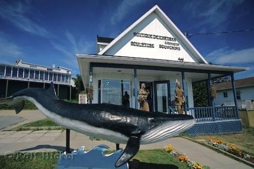 Gite Au Vieux Pommier Tadoussac Bagian luar foto