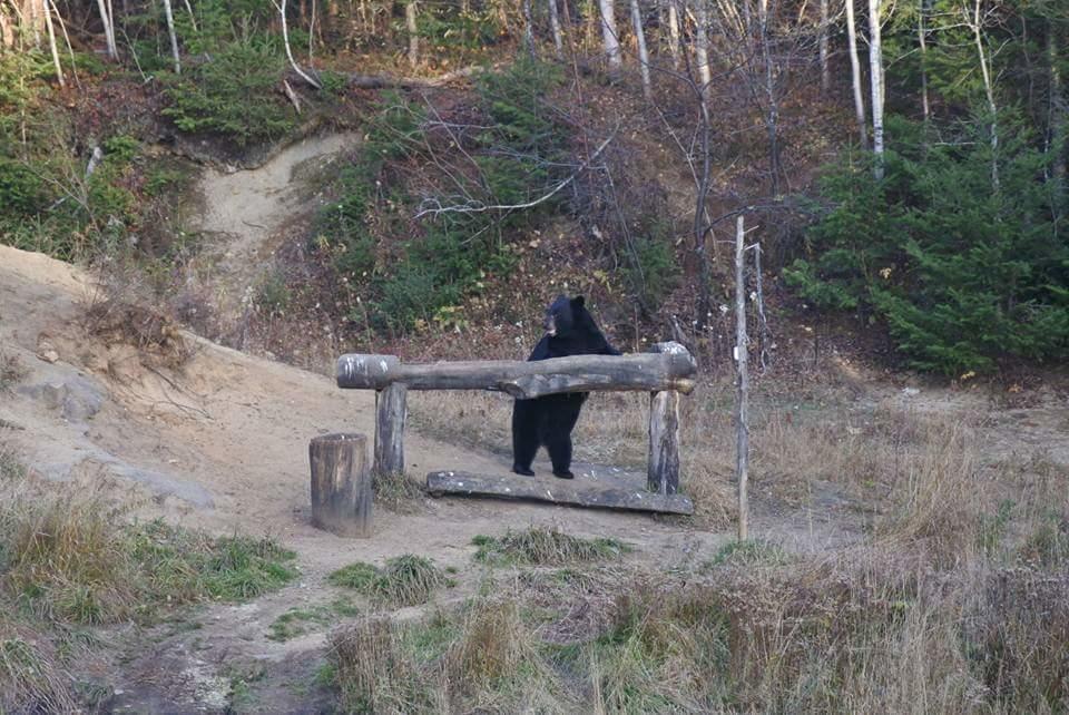 Gite Au Vieux Pommier Tadoussac Bagian luar foto