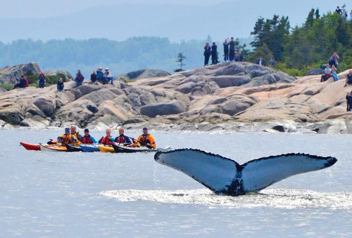 Gite Au Vieux Pommier Tadoussac Bagian luar foto
